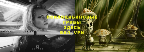 скорость Абинск