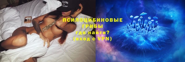 apvp Абаза