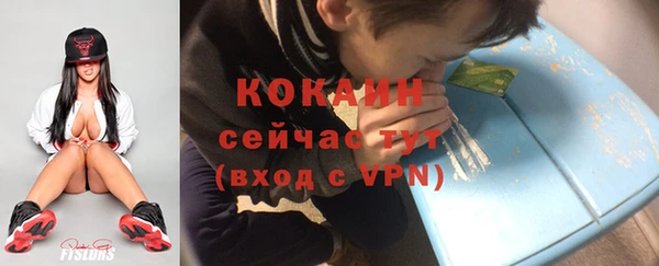 альфа пвп Няндома